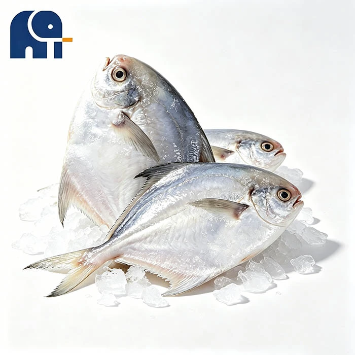 IQF con vetri Pomfret Bianco