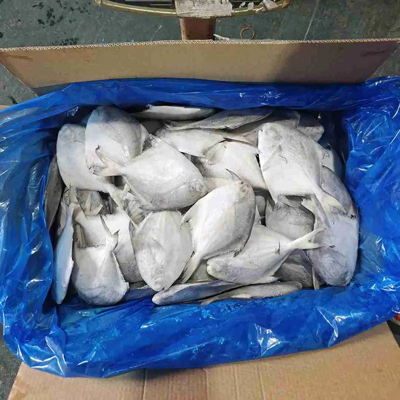 Pomfret bianco intero in cartone premium Pomfret bianco intero in cartone premium