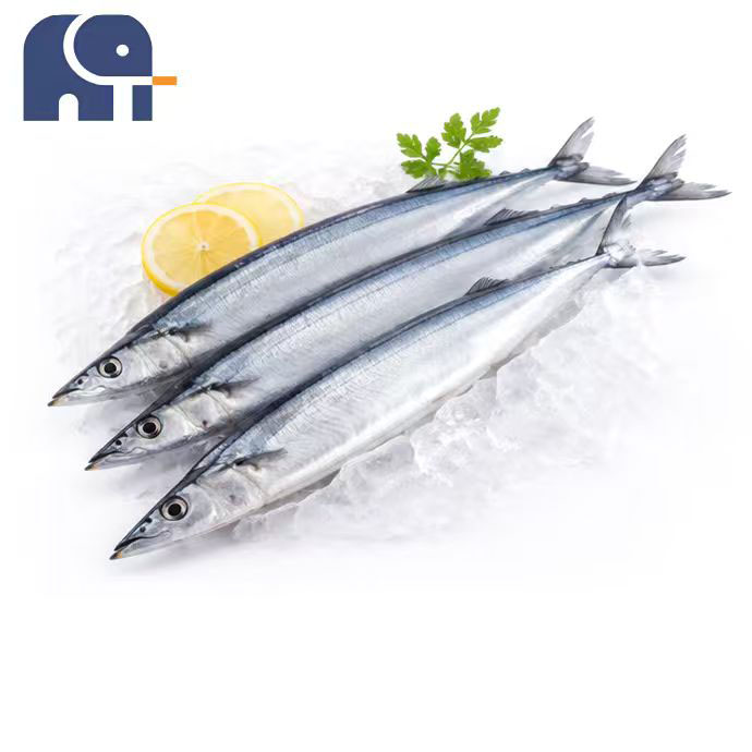 Saury del Pacifico congelato in inverno, intero